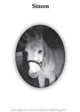 Pnoto of Simon from The Face Tree book